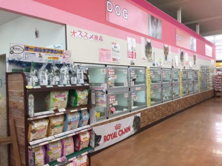 岸和田ベイサイド店