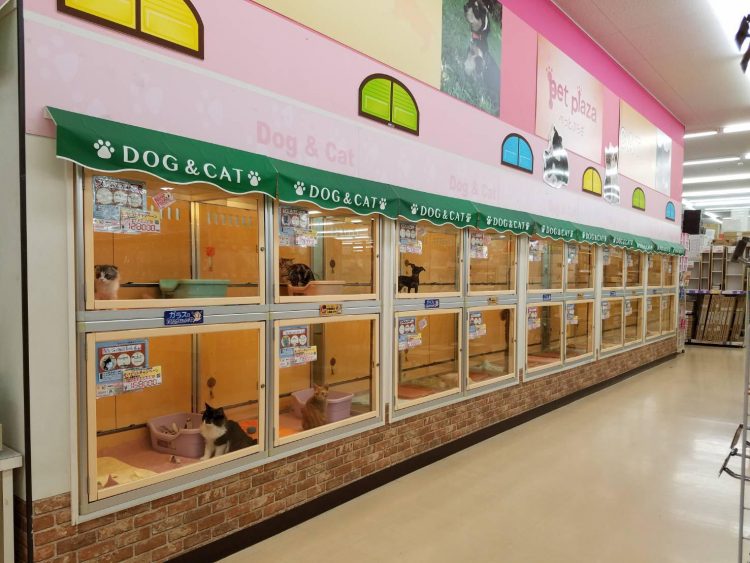 ケンアンドワン 堺店