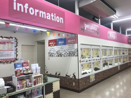 外環新石切店