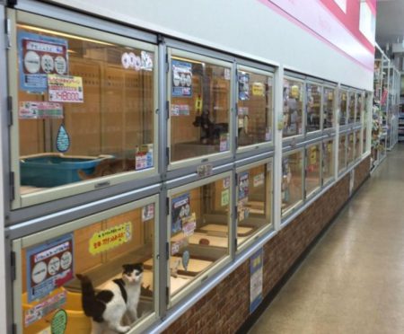 加西店