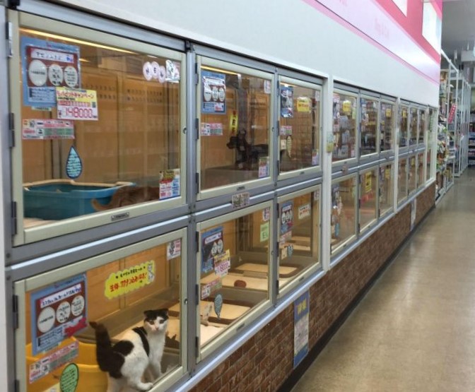ケンアンドワン 加西店