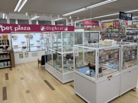 杉並高井戸店