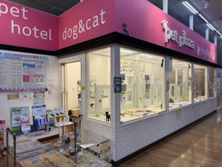 川口前川店