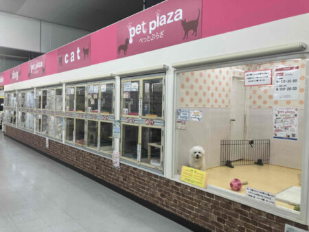 松原市役所前店