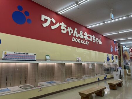 大津店