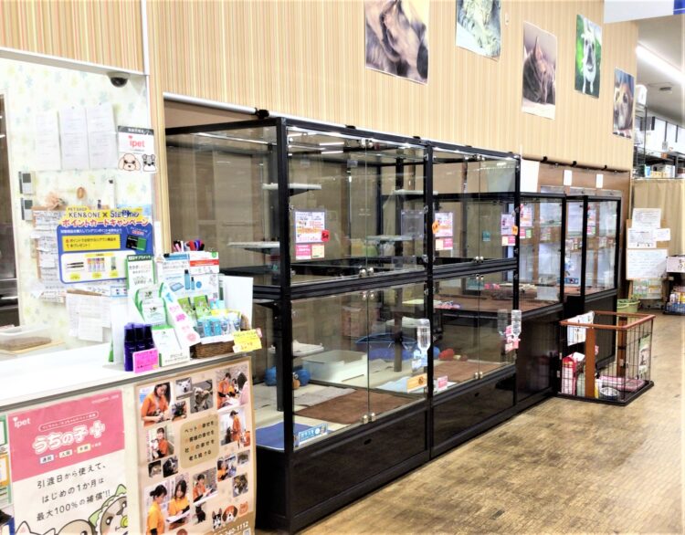 ケンアンドワン 津高店