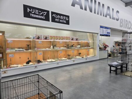 恵庭店