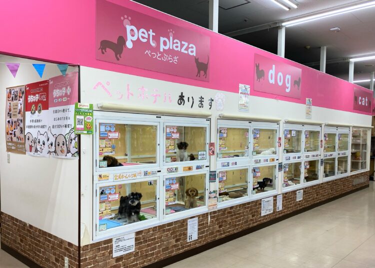 ケンアンドワン 外環新石切店