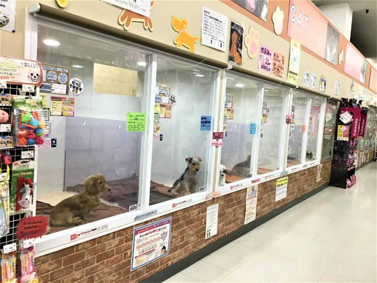 ケンアンドワン 関目店
